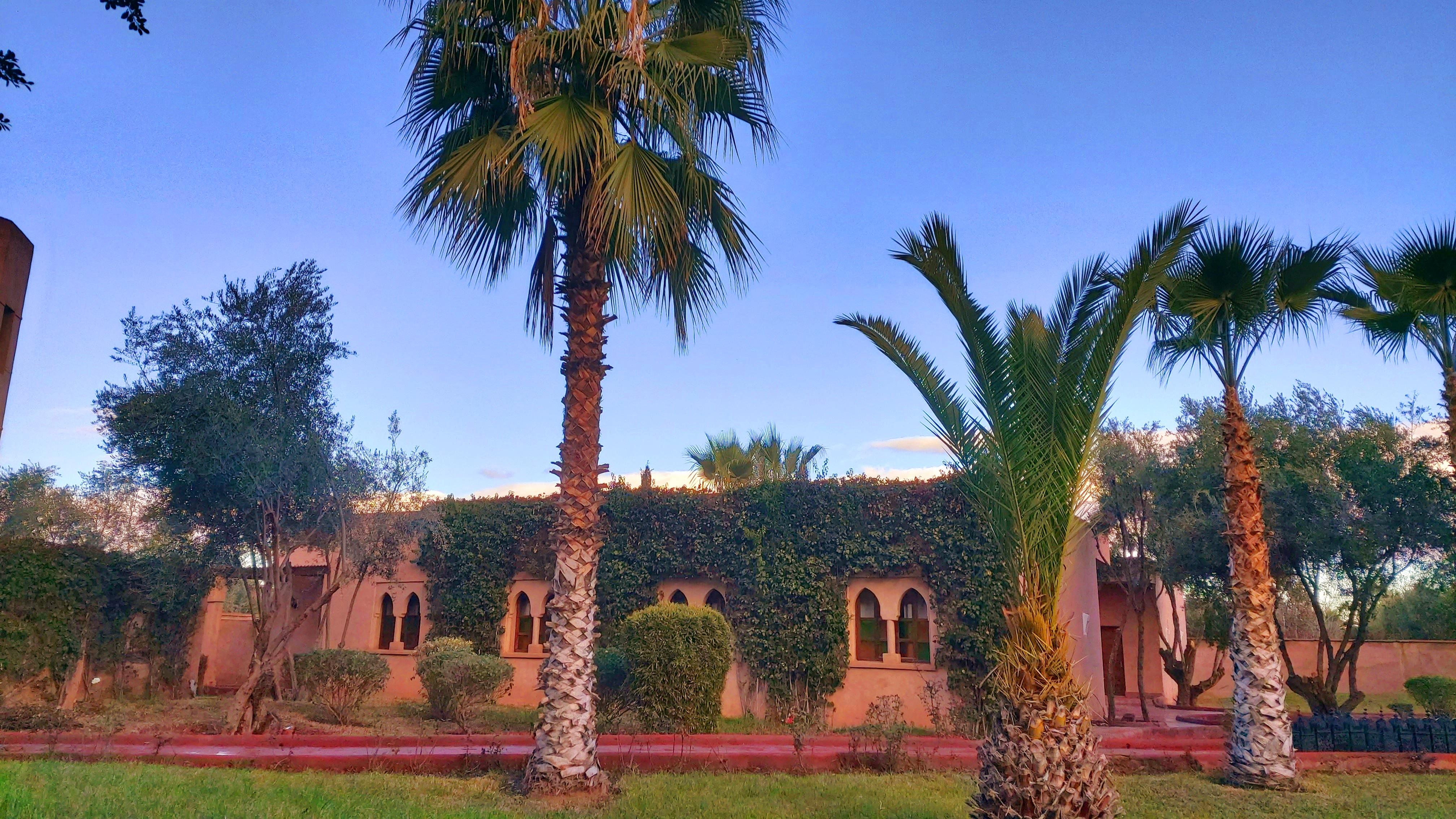 La Maison Des Oliviers Marrakesh Exterior photo